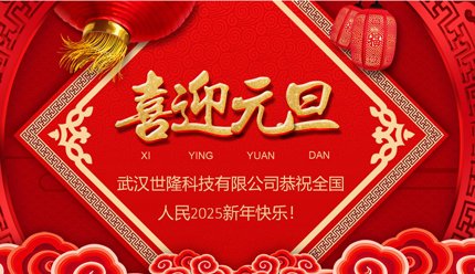 <b>迎接2025，武漢世隆科技與您共啟新年新篇章</b>