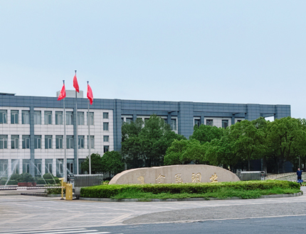 <b>銅陵有色金屬集團金冠銅業項目</b>